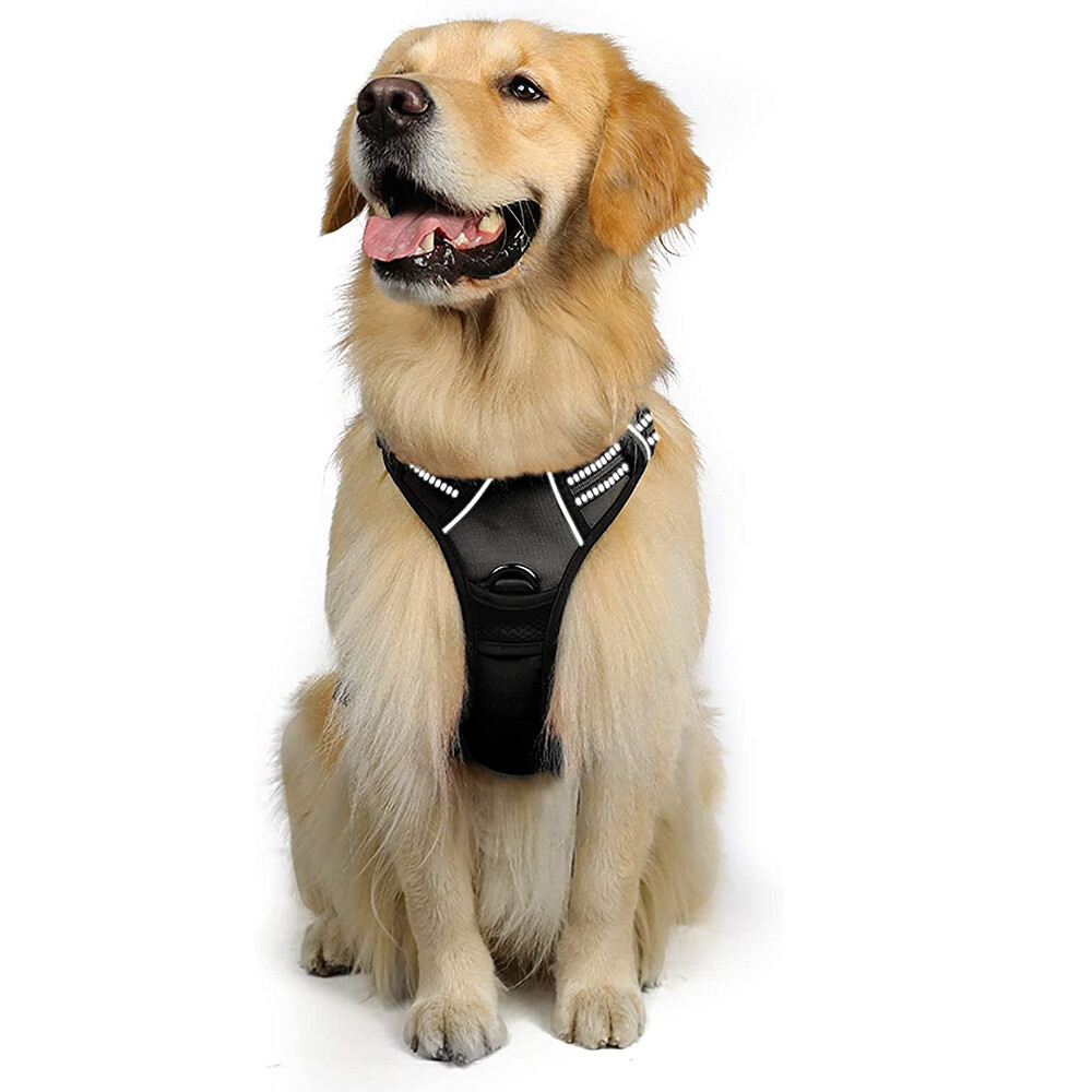 rabbitgoo Dog Harness with 2 Leash Clips No-Pull Reflective Vest for Large Dogs