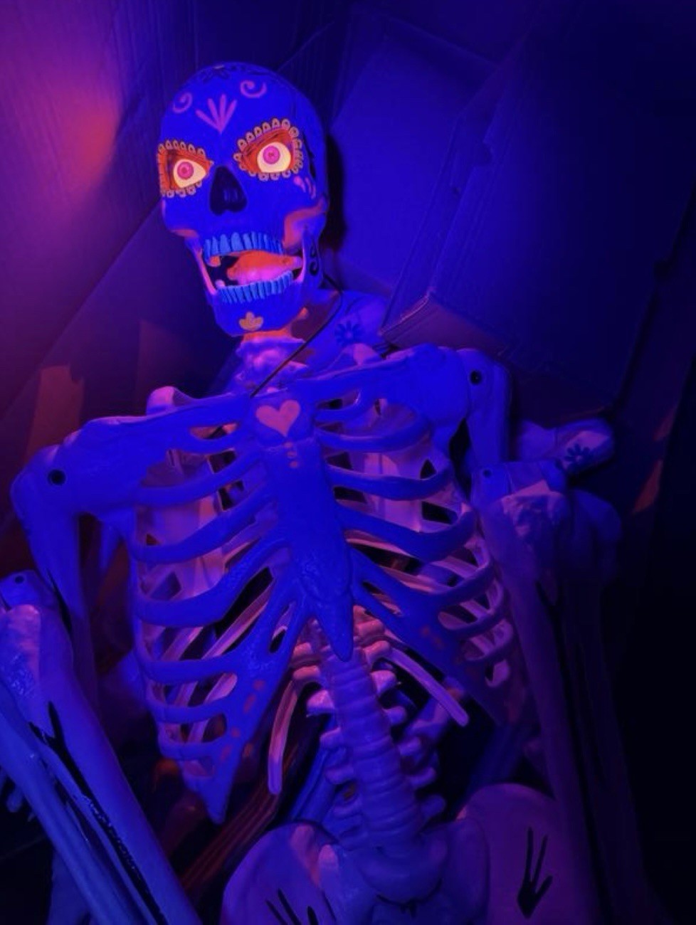 5 ft. Grave & Bones LED Ultraposeable Day of the Dead - Skeleton - RARE SOLD OUT