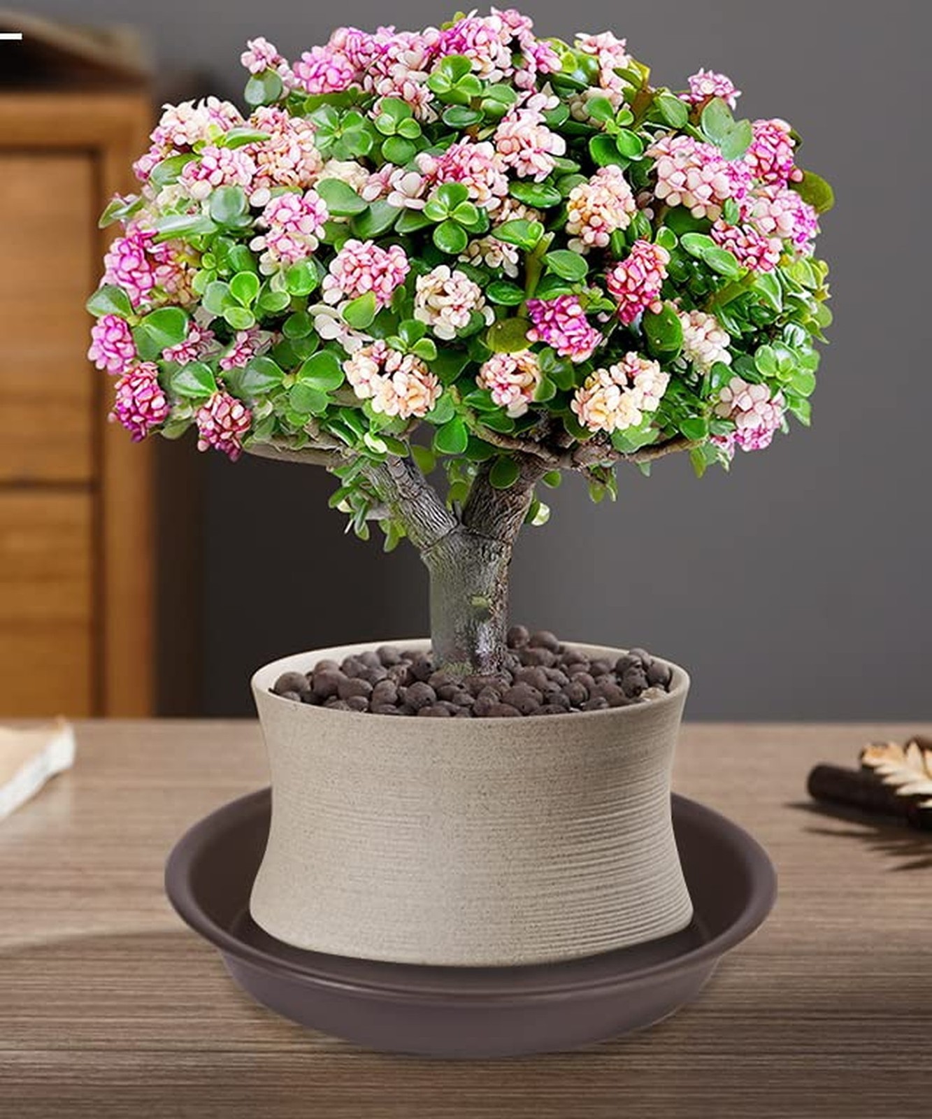 6 Pack Plant Saucer Tray 6“, 4 6 8 10 12 14 16 18 inch Saucers, Heavy Duty