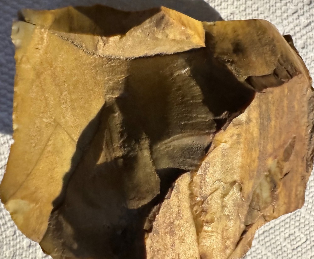 Petrified Wood