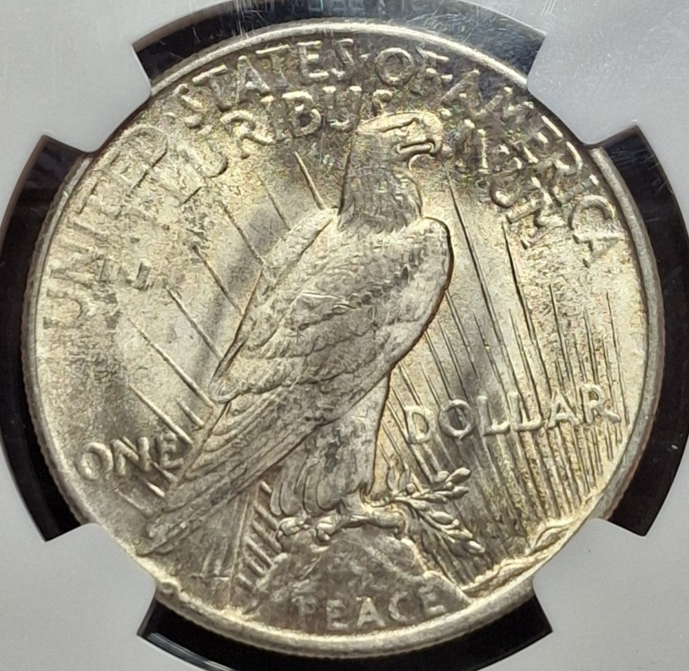 1925 Peace Dollar - NGC MS63