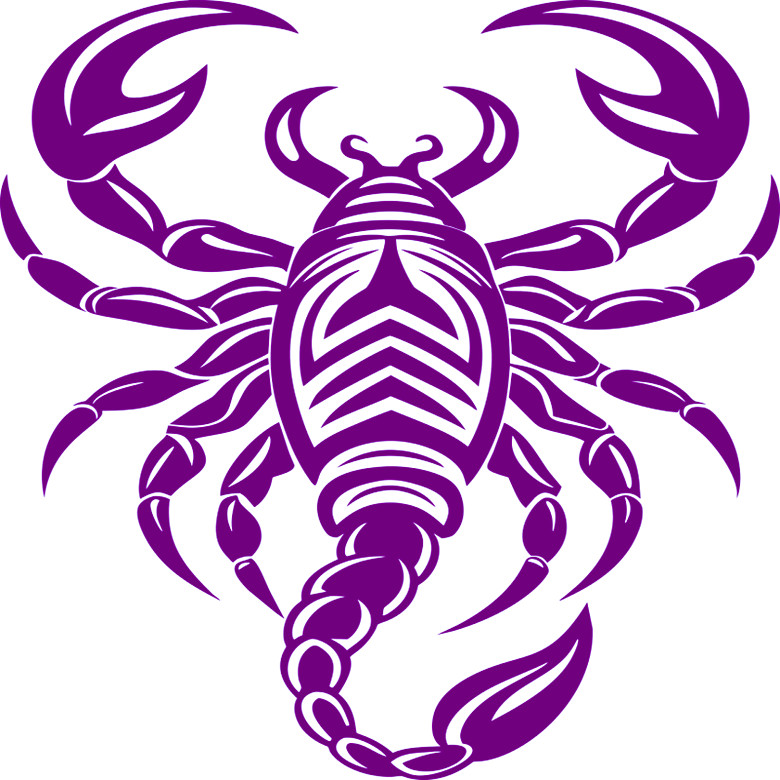30 Custom Violet Wicked Scorpion Personalized Address Labels