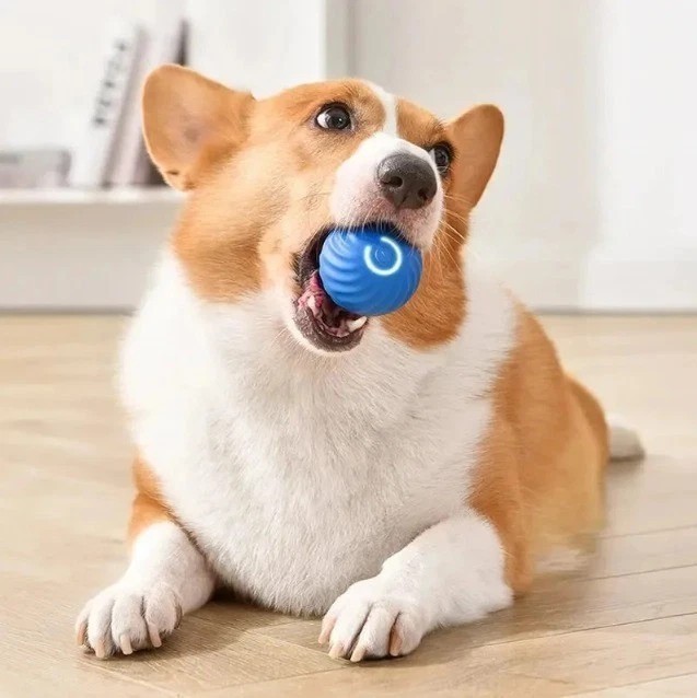 Smart Interactive Dog Toy Ball – USB Electronic Automatic Moving & Bouncing Pet.