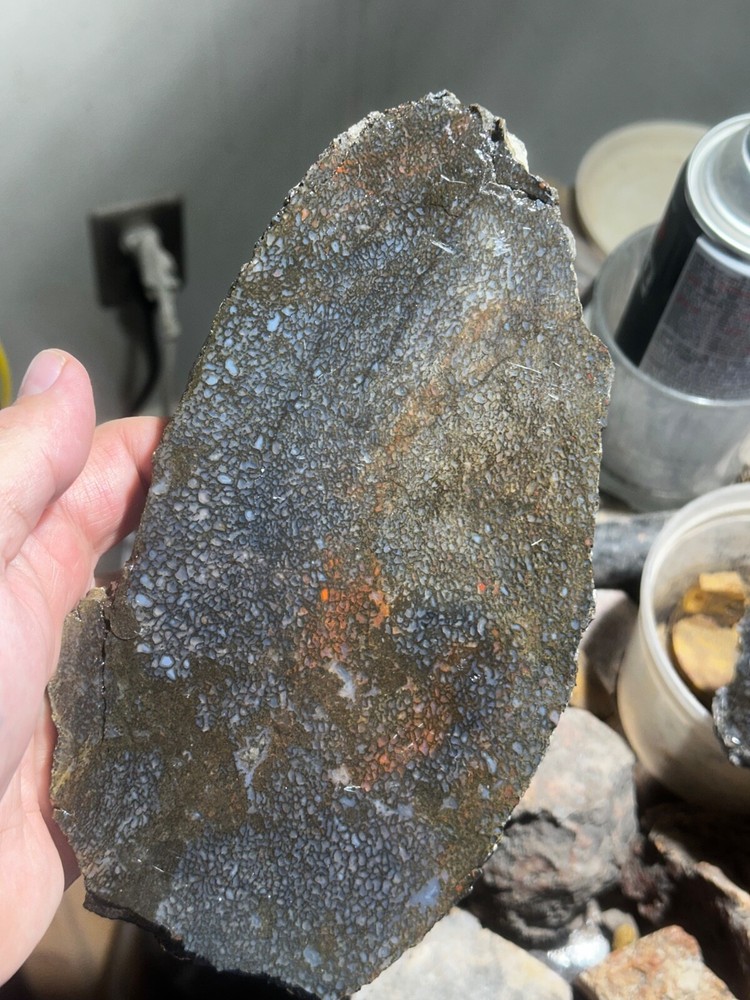 Dinosaur bone rough **hxtled large slab.