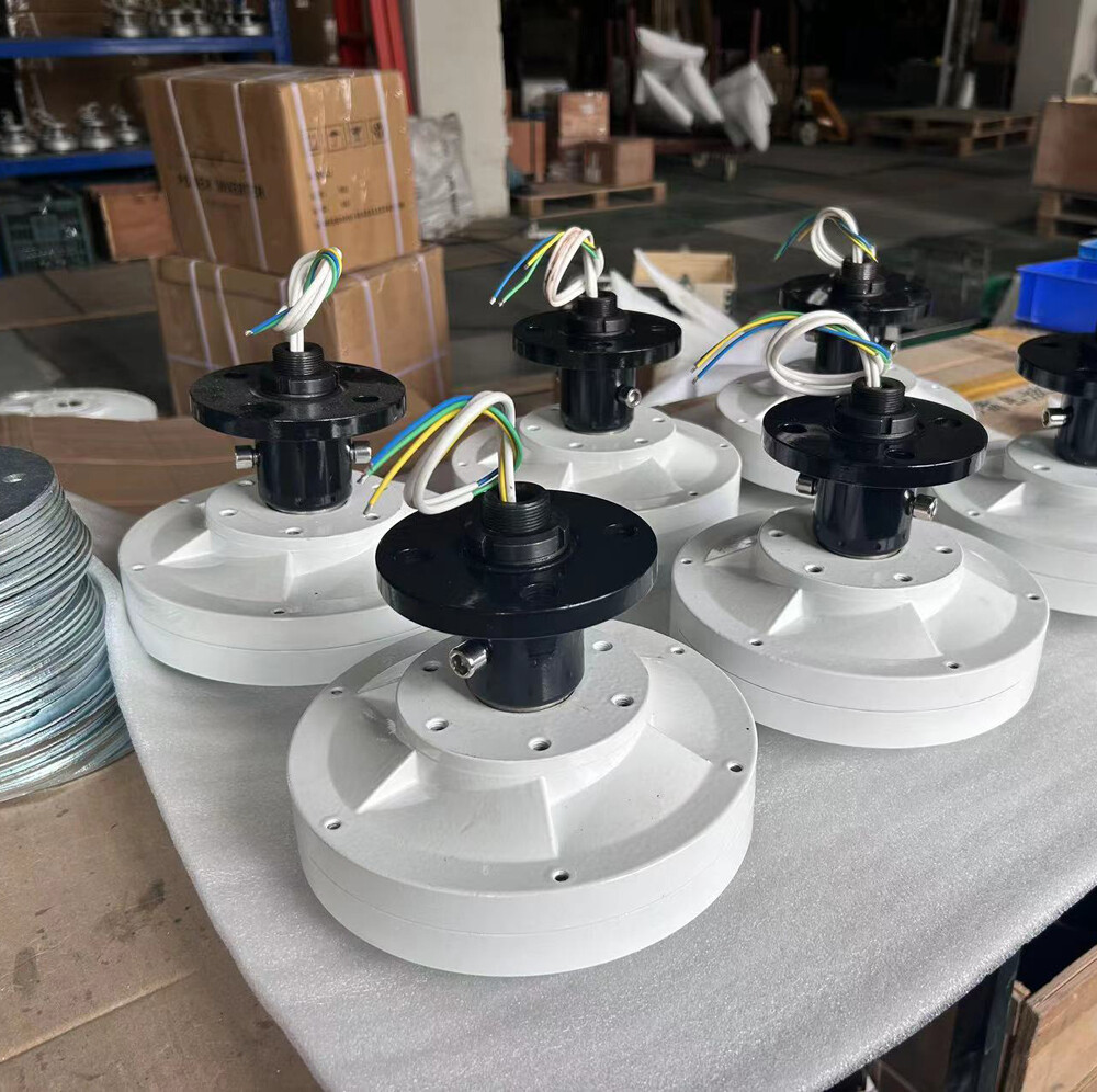 800W Permanent Maglev Generator Outer Rotor 3Phase Use For Vertical Wind Turbine