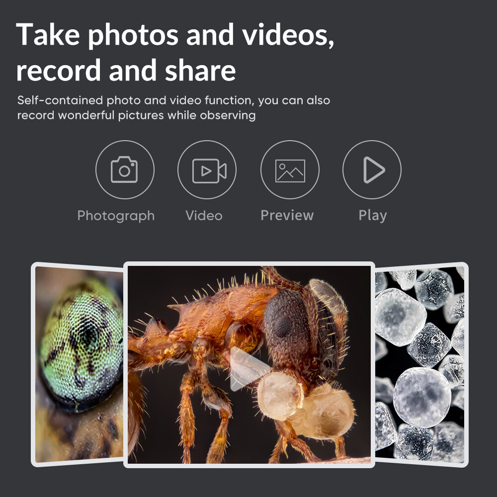 APEXEL Pocket Handheld 800X Microscope Digital Microscope Camera LCD Screen USB