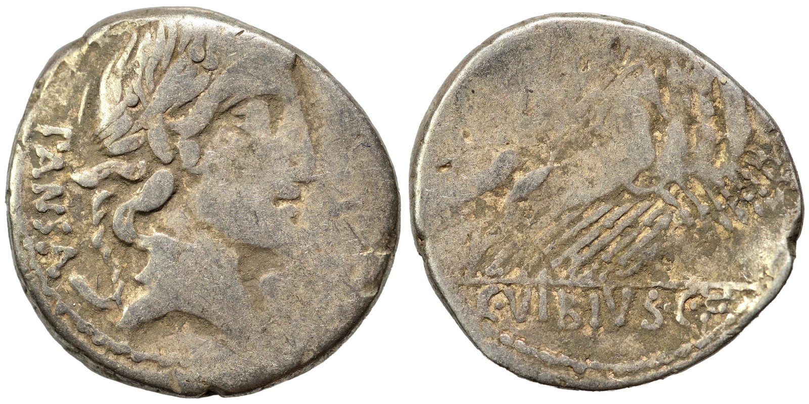 Roman Republic Silver Denarius - Rome 90 BC - C. Vibius C.f. Pansa