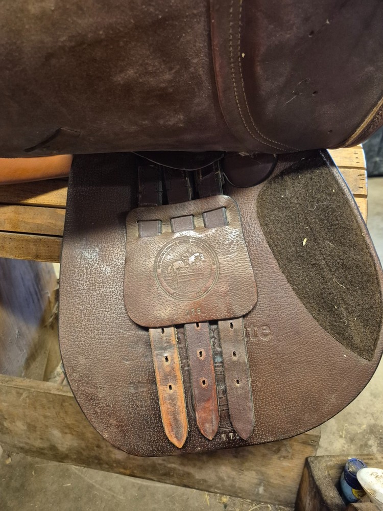 17.5 Collegiate Finalist Close Contact Saddle