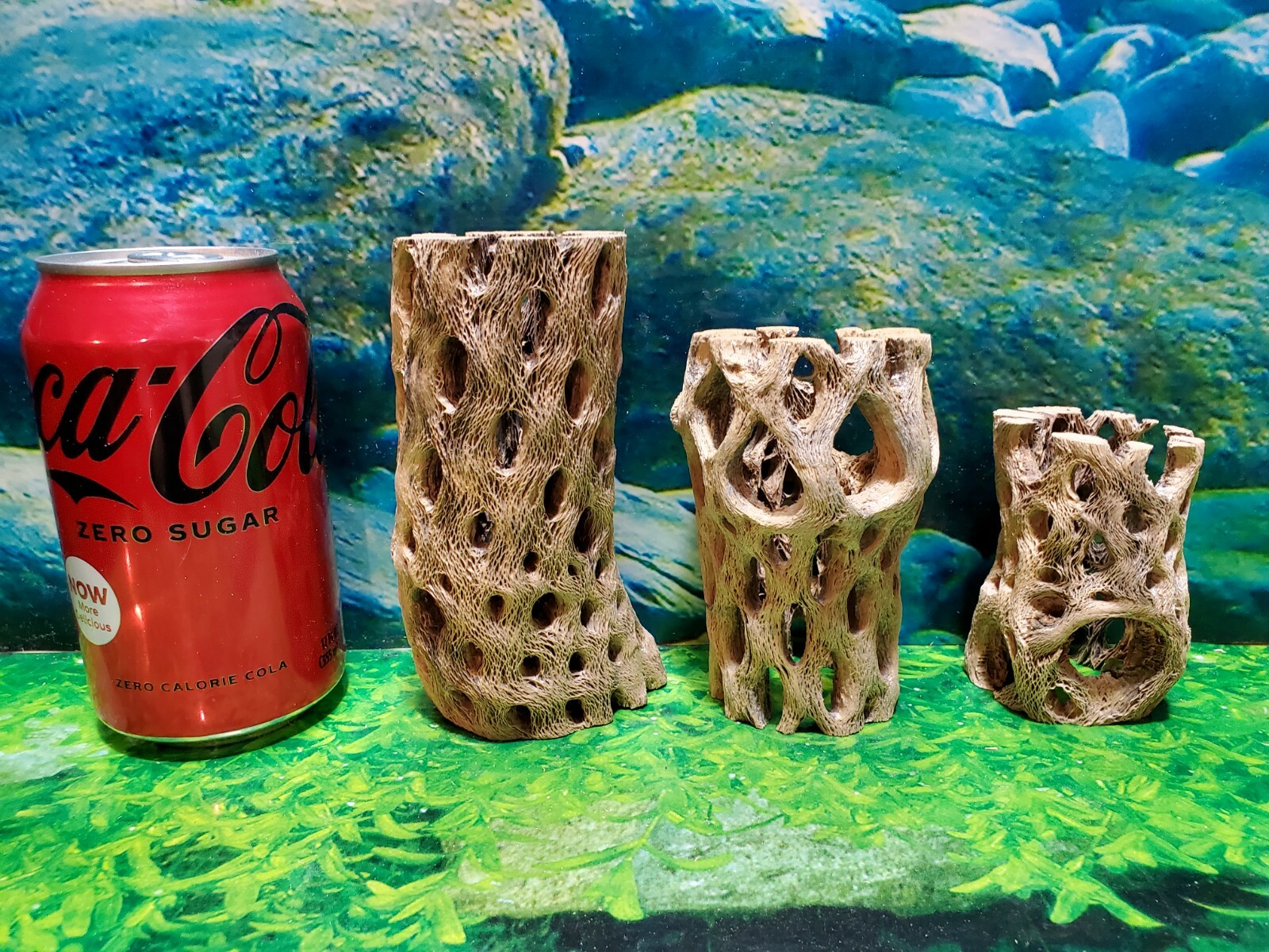 TEDDY BEAR CHOLLA Wood | 3 pcs, 3 sizes | Nice Air Plant Display Stands | Crafts