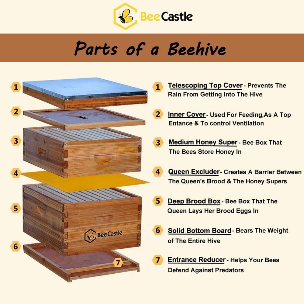 10-Frame Complete Beehive Kit Beeswax Coated Includes Frames and Foundation