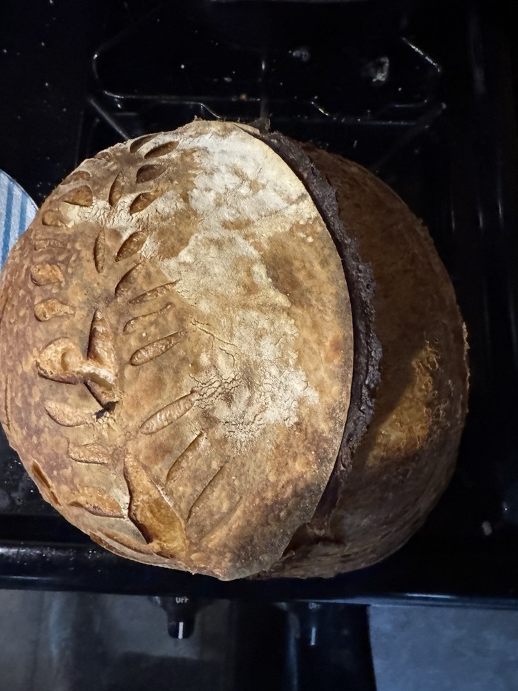 dehydrated sourdough starter
