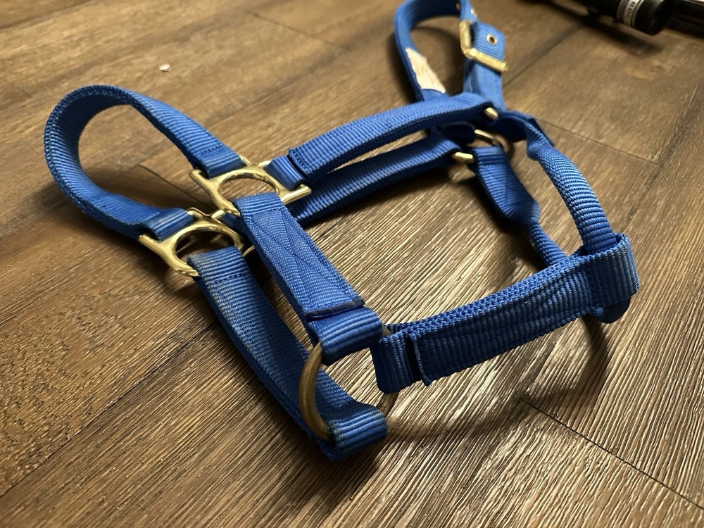 Horse Tack - Valhoma Blue Nylon Halter