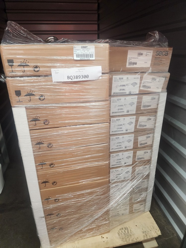 Seca 876 Medical Scale