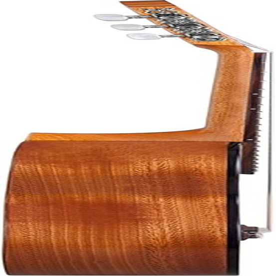 Soloist S65C Full-Size Classical Guitar – Solid Cedar Top Nylon String Guitar –