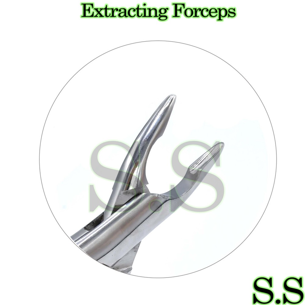 Tooth Extraction Forcep # 213 Surgical Dental Instruments
