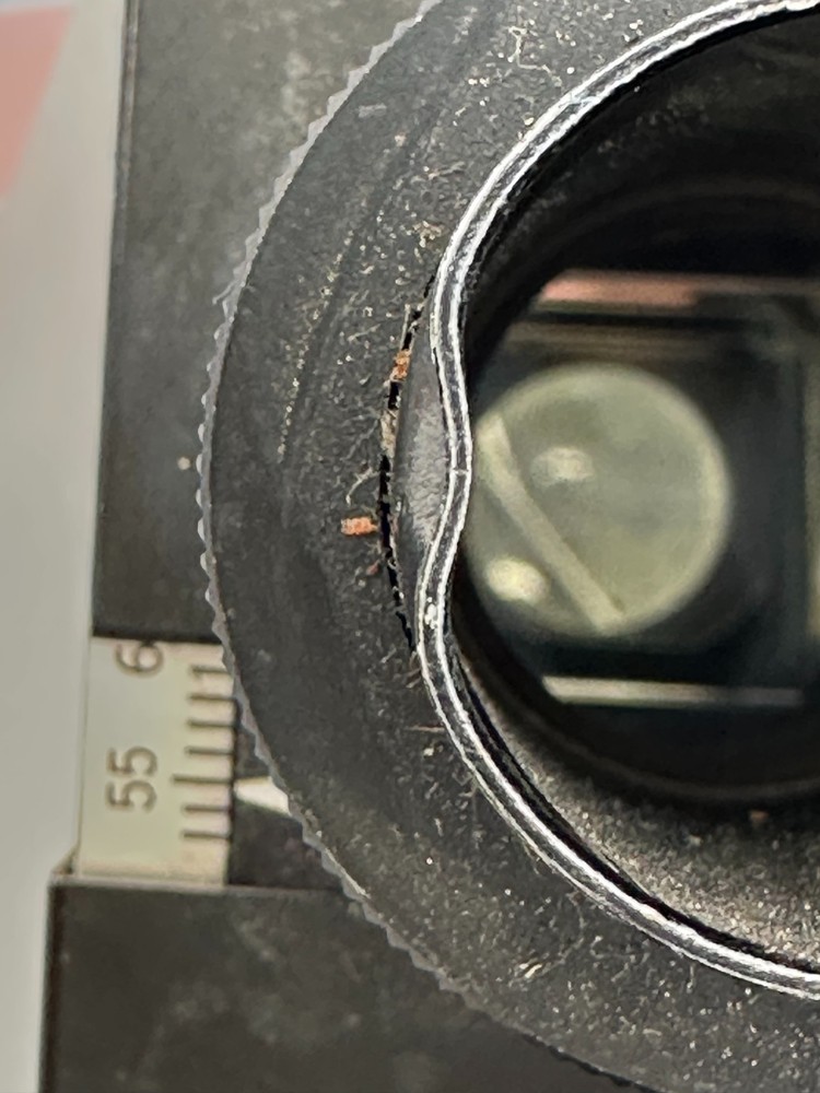 OLYMPUS 950892 BINOCULAR MICROSCOPE HEAD