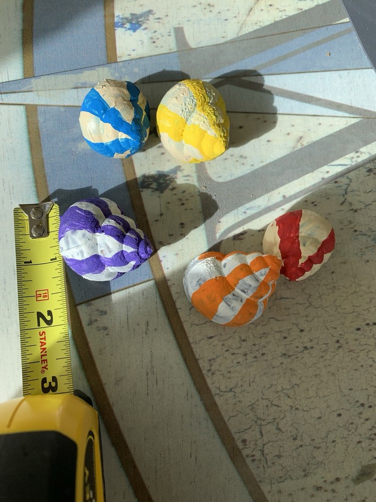 5 Hand Painted Shells For Crafting