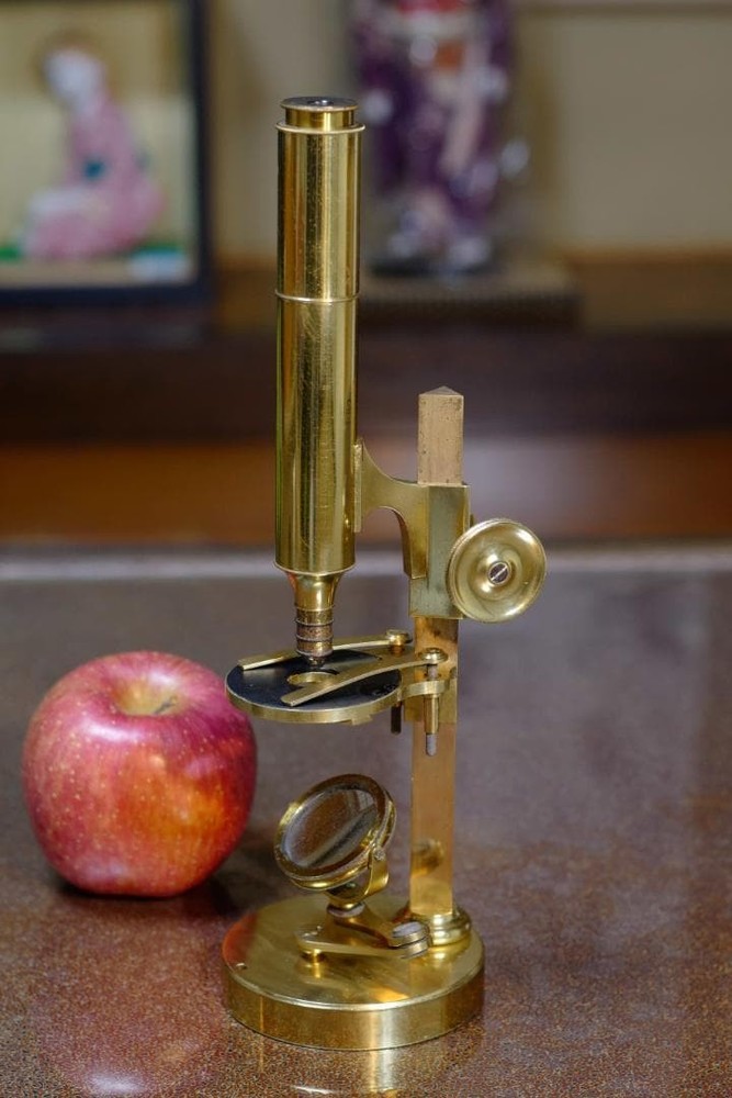 microscope antique vintage collectible Simon Pressl's "achromatic" microscope