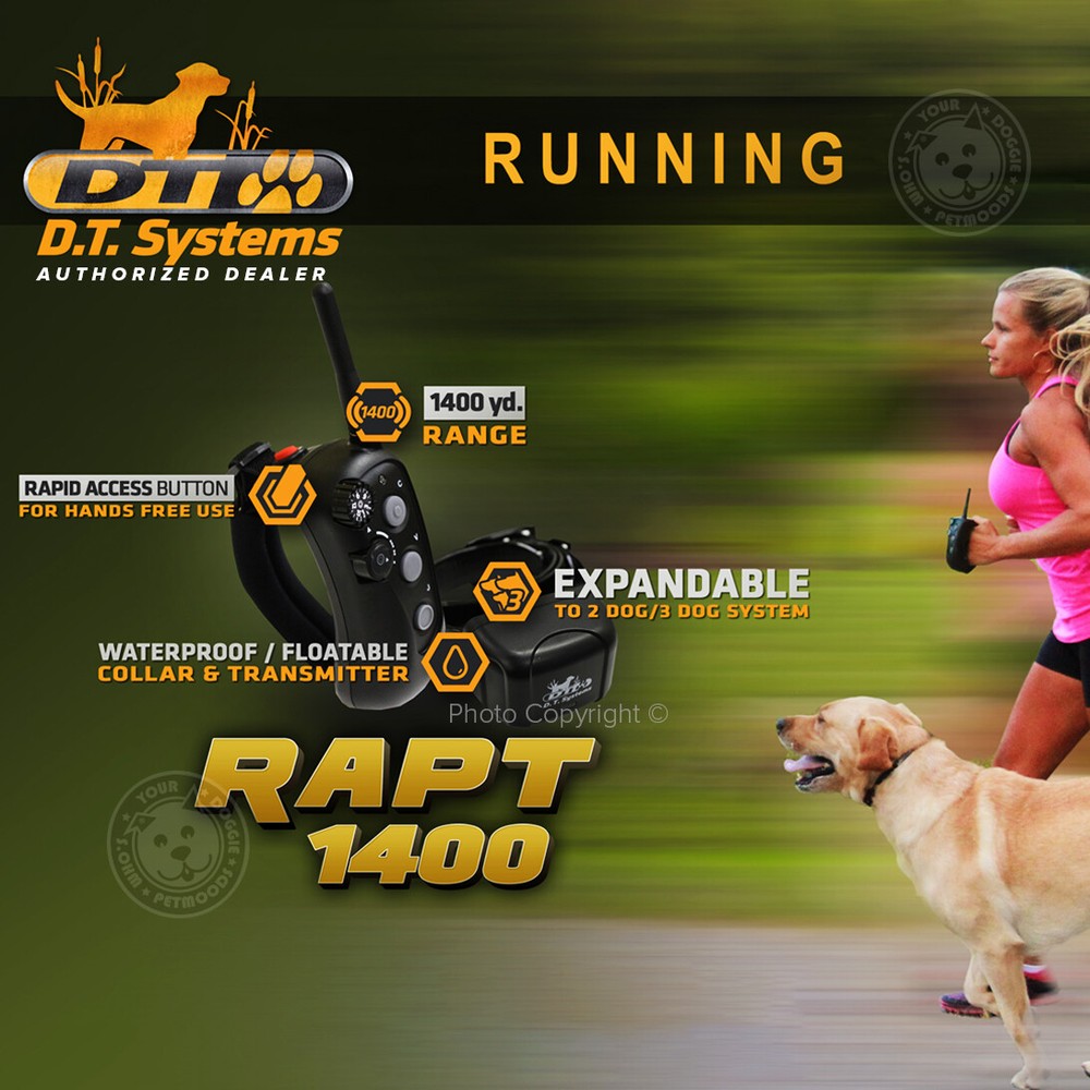 DT Systems Rapid Access Pro Trainer RAPT 1400