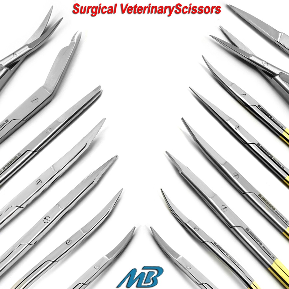 Surgical Scissors Veterinary Microsurgery Dissecting Nursing Dentist Instruments