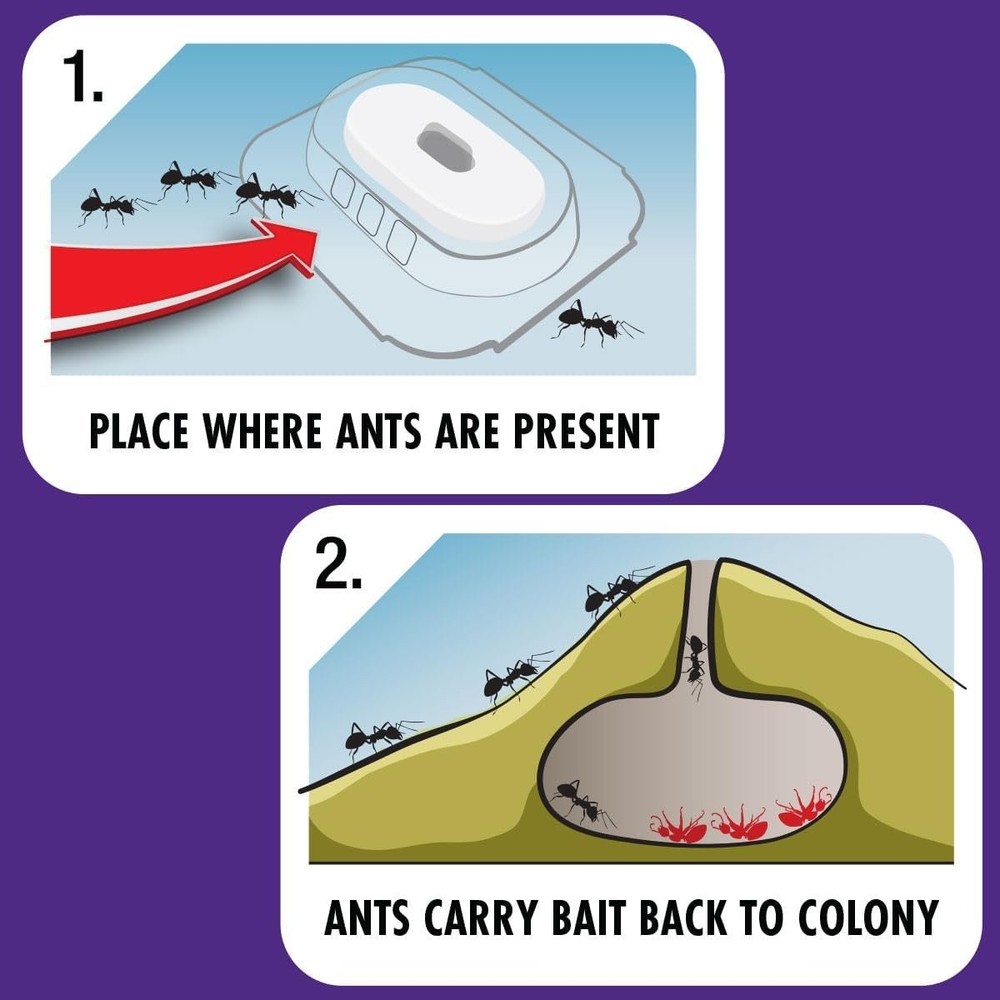 STEM Liquid Ant Baits