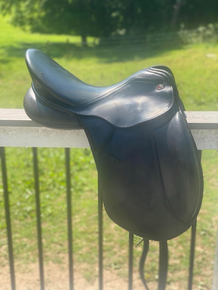 17.5” Medium Narrow Kieffer Lusitano