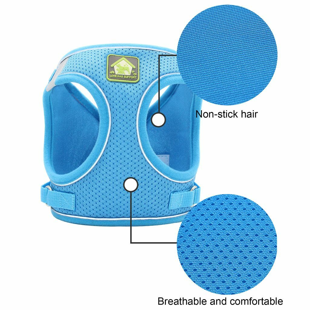 Mesh Padded Dog Harness & Leash Pet Puppy Vest for Small Medium Dogs Chihuahua