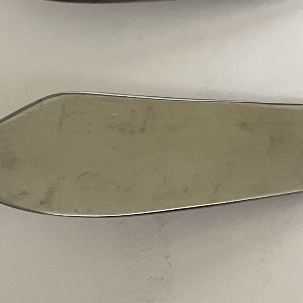 Stainless Steel Serving /spreaders 7”