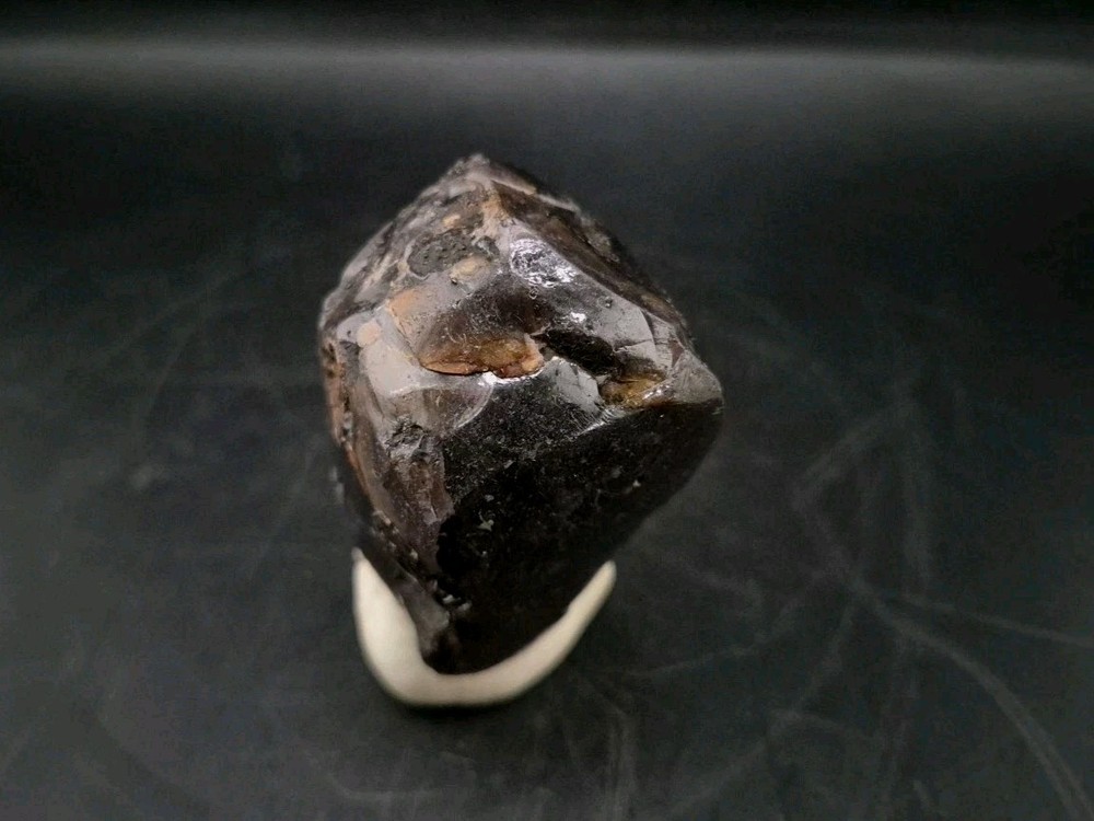 Real Fossil Dinosaur Egg Opalized