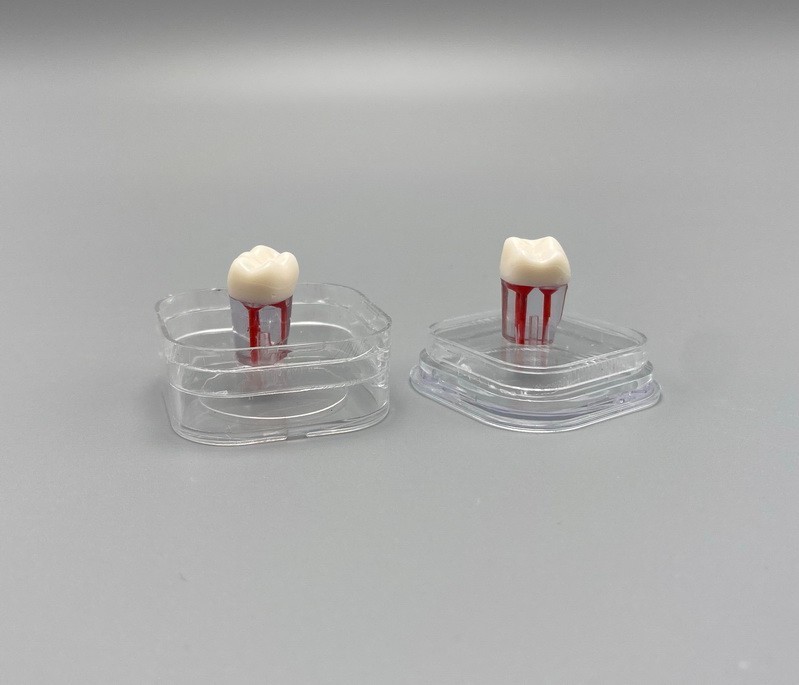 10pcs Dental Denture Hinged Display Box Film Membrane Storage Case 38*38*17mm