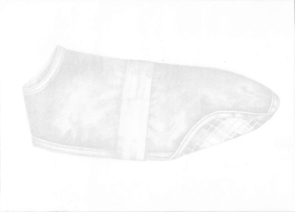 Horse Blanket Graphite Drawing