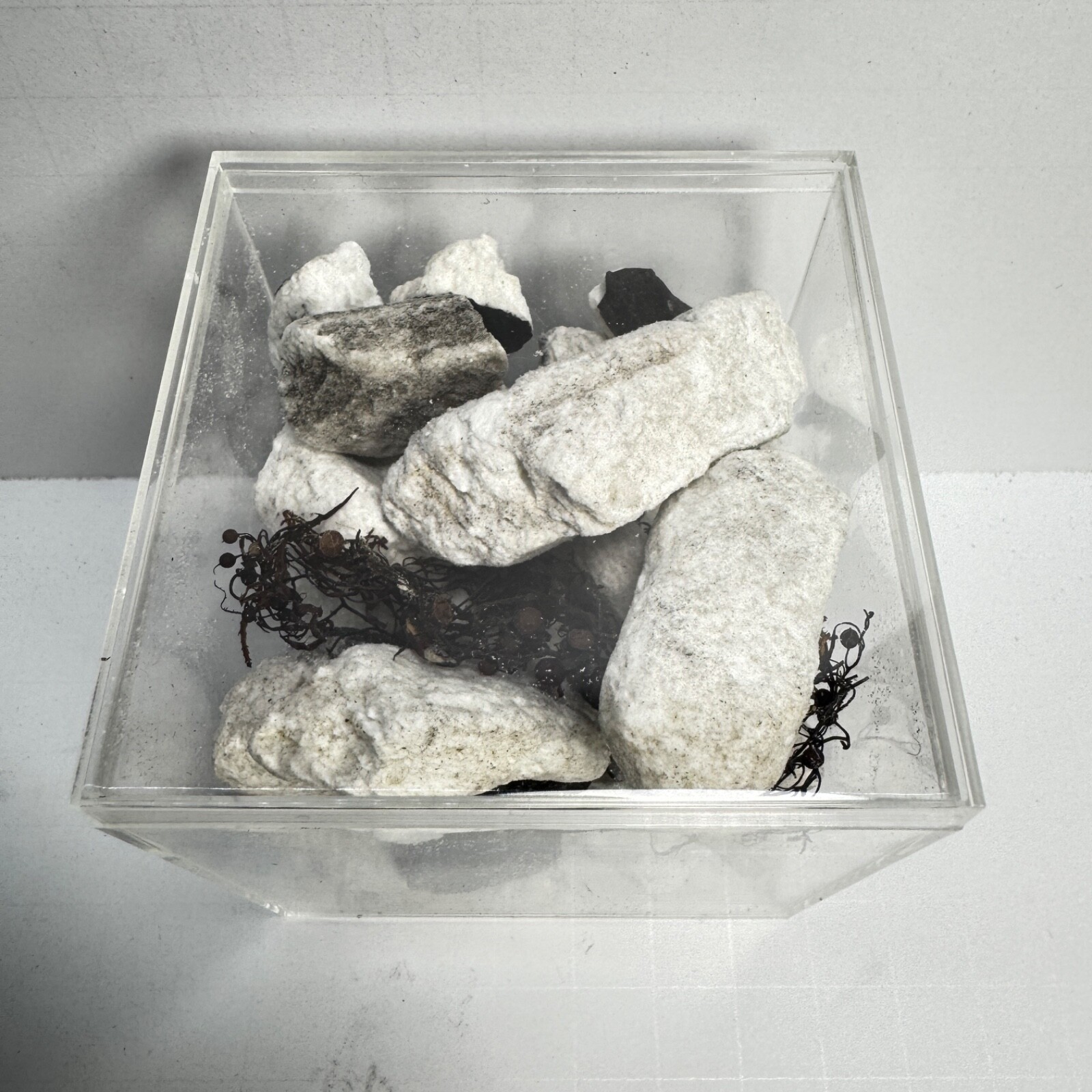 Space X Starship 34 - Recovered Heat Shield Tile Pieces - Flight 8