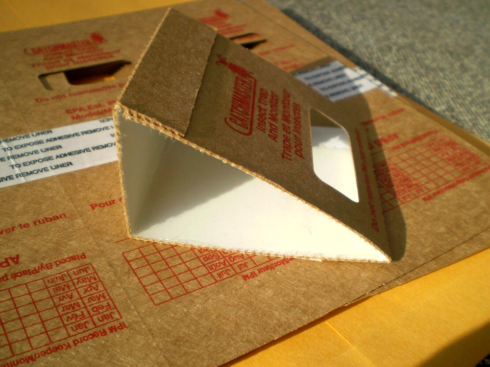 Insect Bug Roach Spider Sticky Traps Qty 54