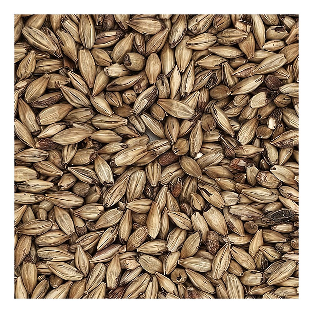 Home Brew Ohio Biscuit Grain 1lb