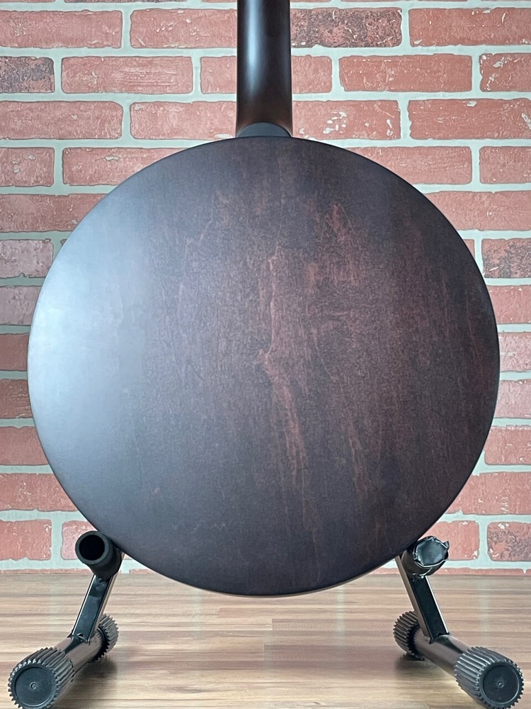 Deering Artisan Goodtime Special 5-string Banjo