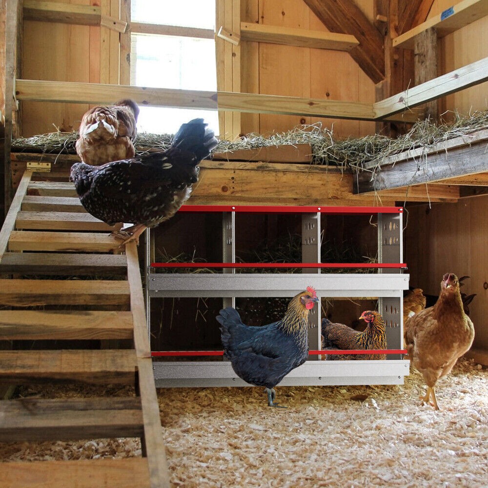 New 6Hole Chicken Nesting Boxes Metal Egg Laying Brooding Box With Vent Hole Set