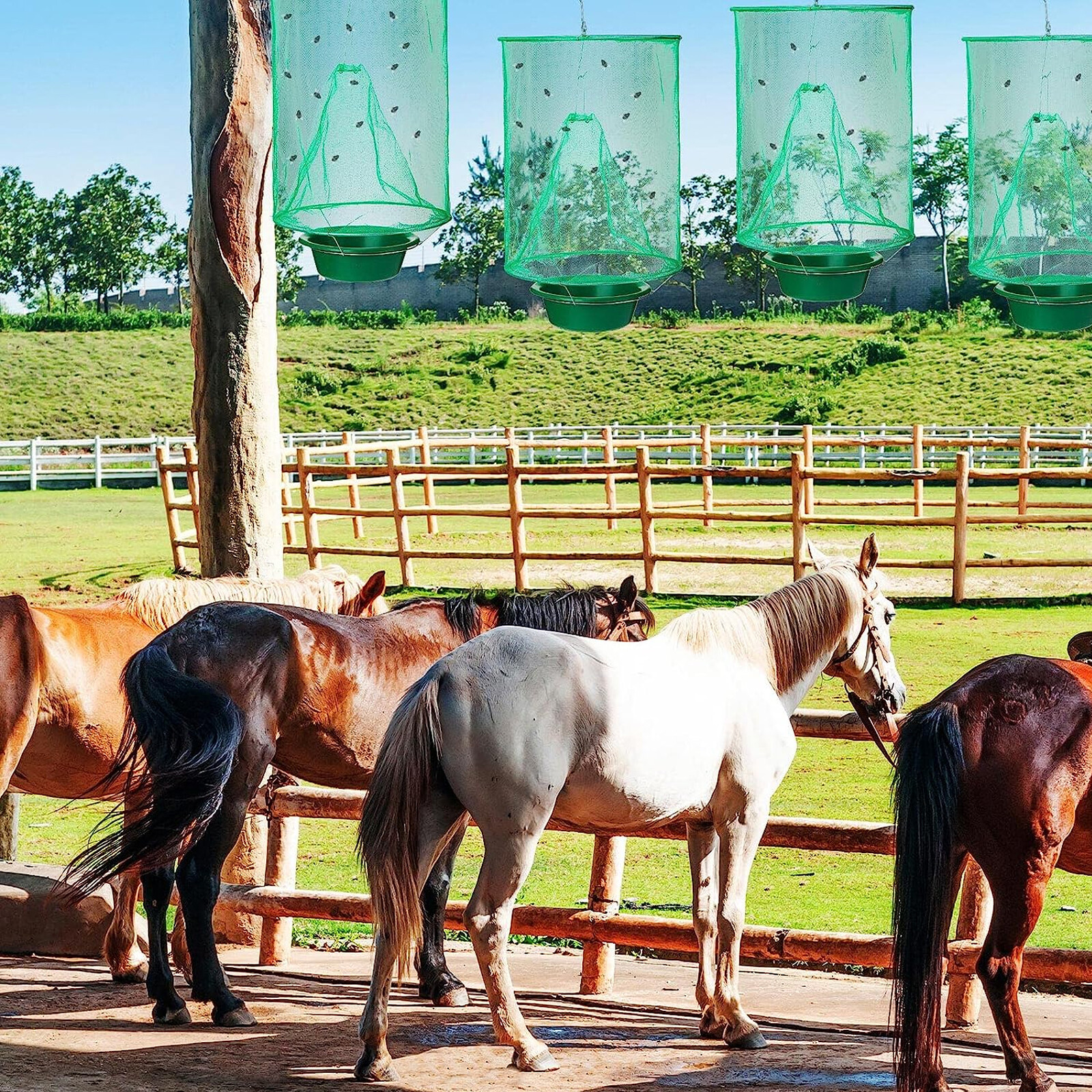 200X Ranch Fly Trap Reusable Hanging Fly Traps Outdoor Flay Catcher Cage Net Lot