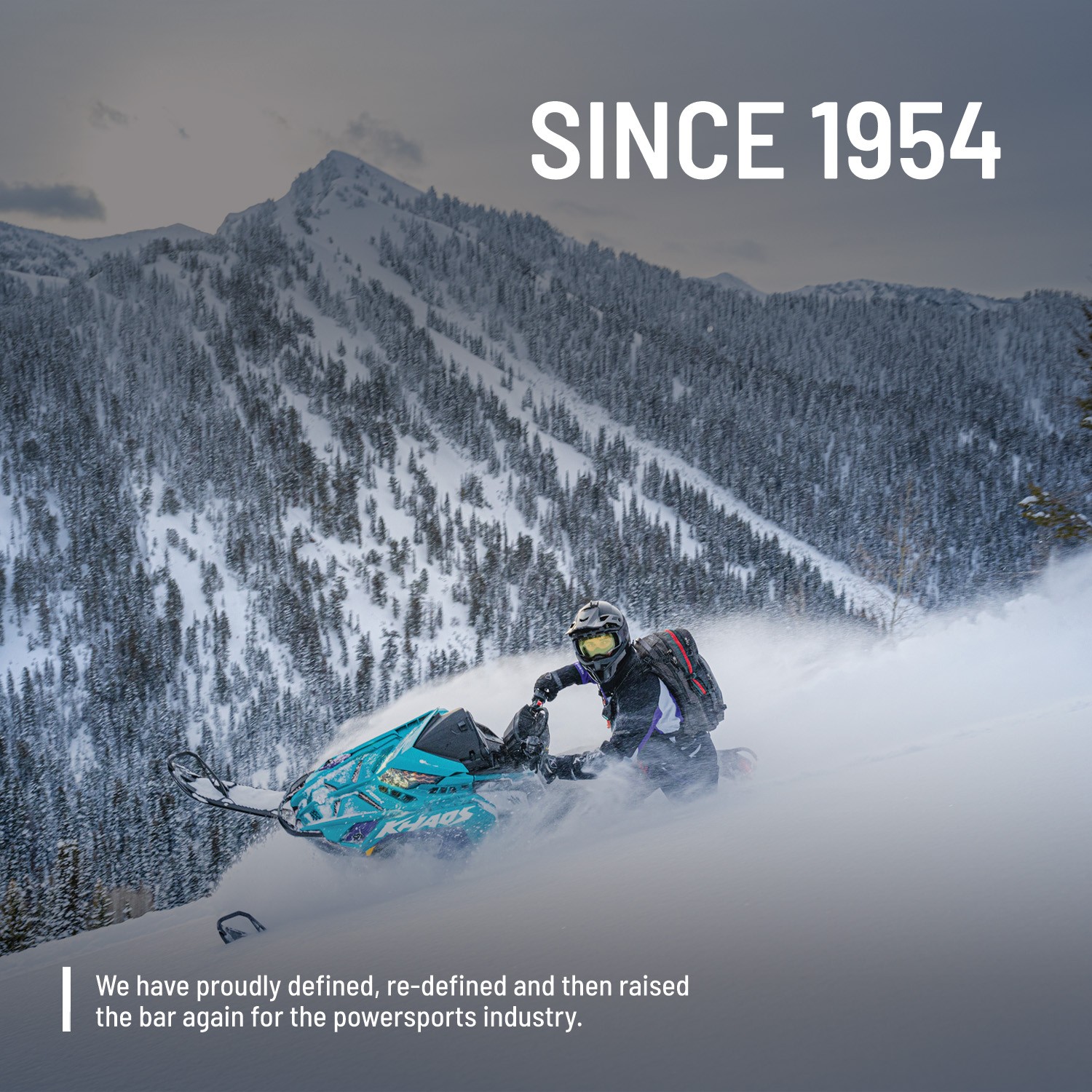 Polaris Tailgate Outer Panel for Specific RANGER XP 1000, 570, XP 900, CREW 570