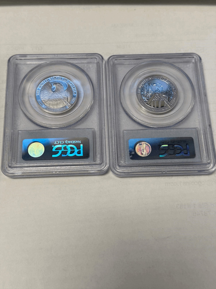 2007 2 coin Platinum Eagle Set PCGS PR 70