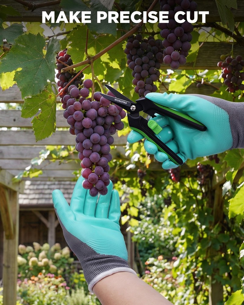 WORKPRO 6-Inch Pruning Shears Sharp Gardening Scissors for Precise Cuts Steel