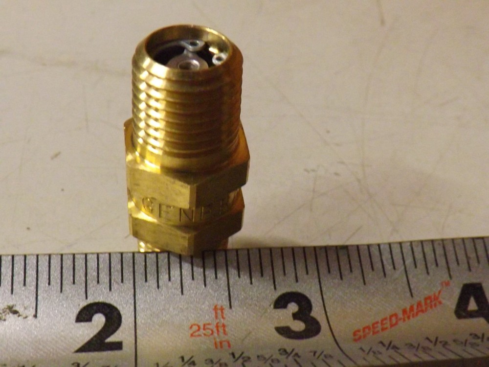 Generant 250 psi Inline Brass Male Check Valve
