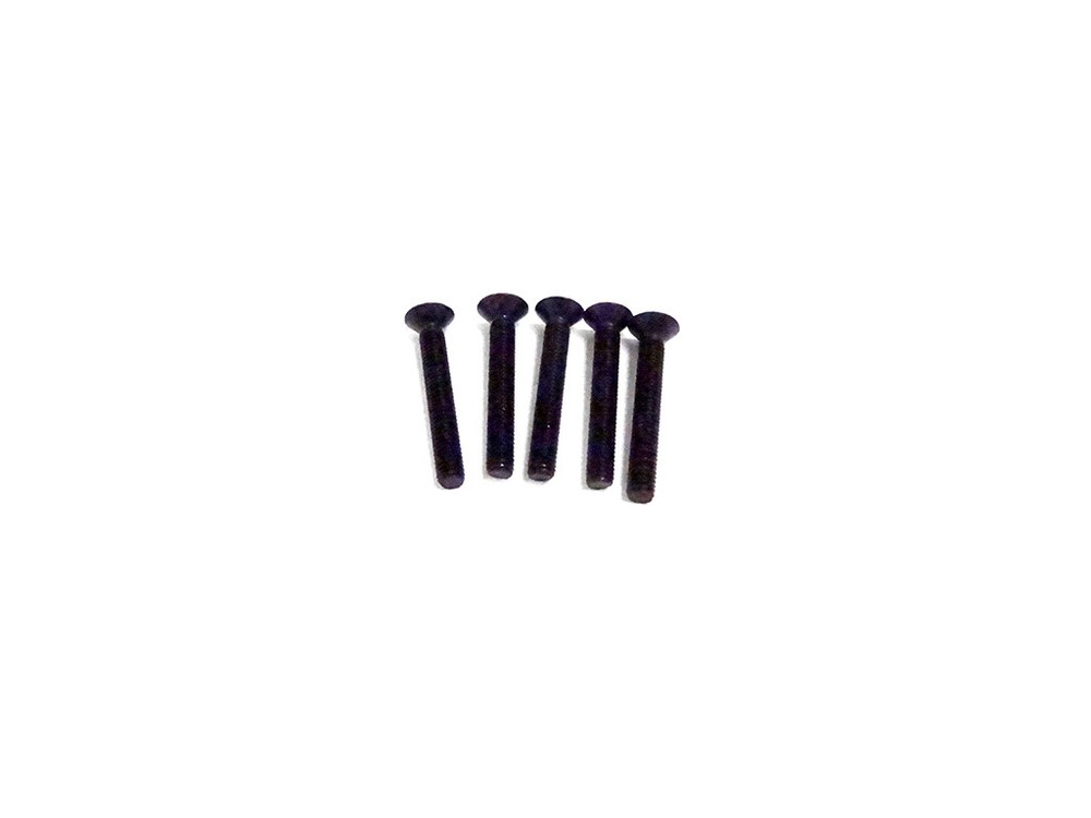 M5x35 Flat Head Screws (5)