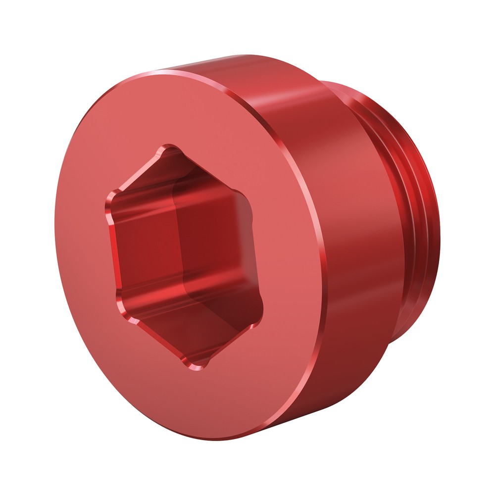 2x Differential Drain Plug Fill Plug For BMW E30 E36 E46 E91 E90 E92 E93 F30