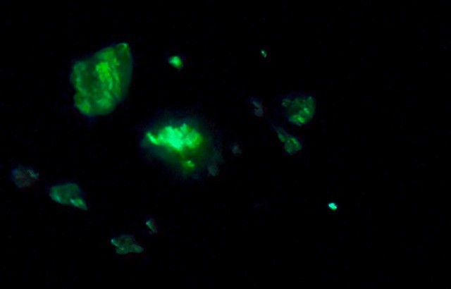 SEE VIDEO: COOL FRANKLIN ASSEMBLAGE: HENDRICKSITE,WILLEMITE PLUS, FRANKLIN, N.J.