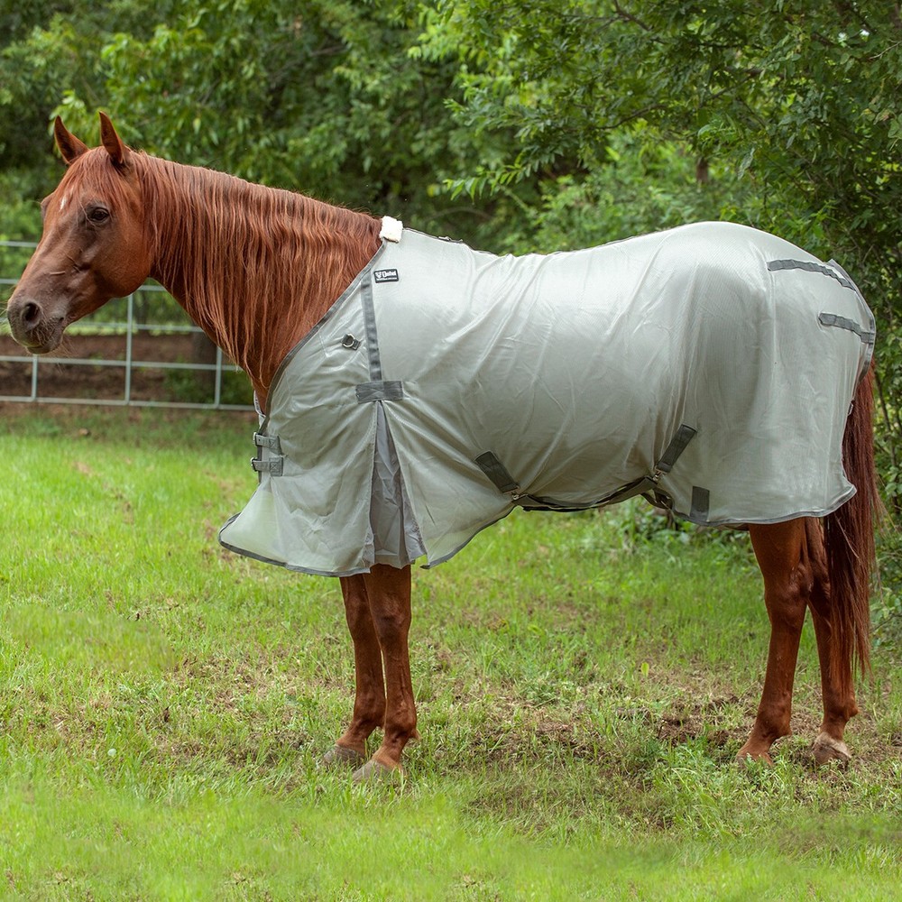 Cashel Econo Fly Sheet