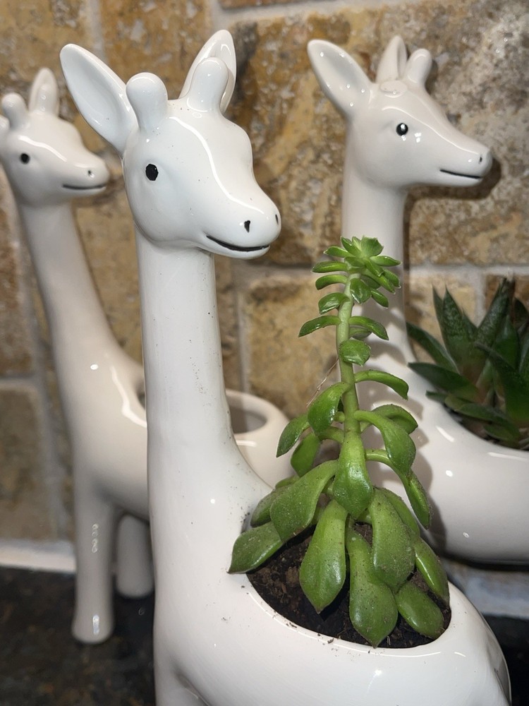 9.5 Inch Ceramic Giraffe Planter