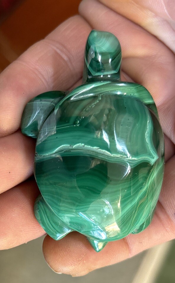 2” Malachite Turtle