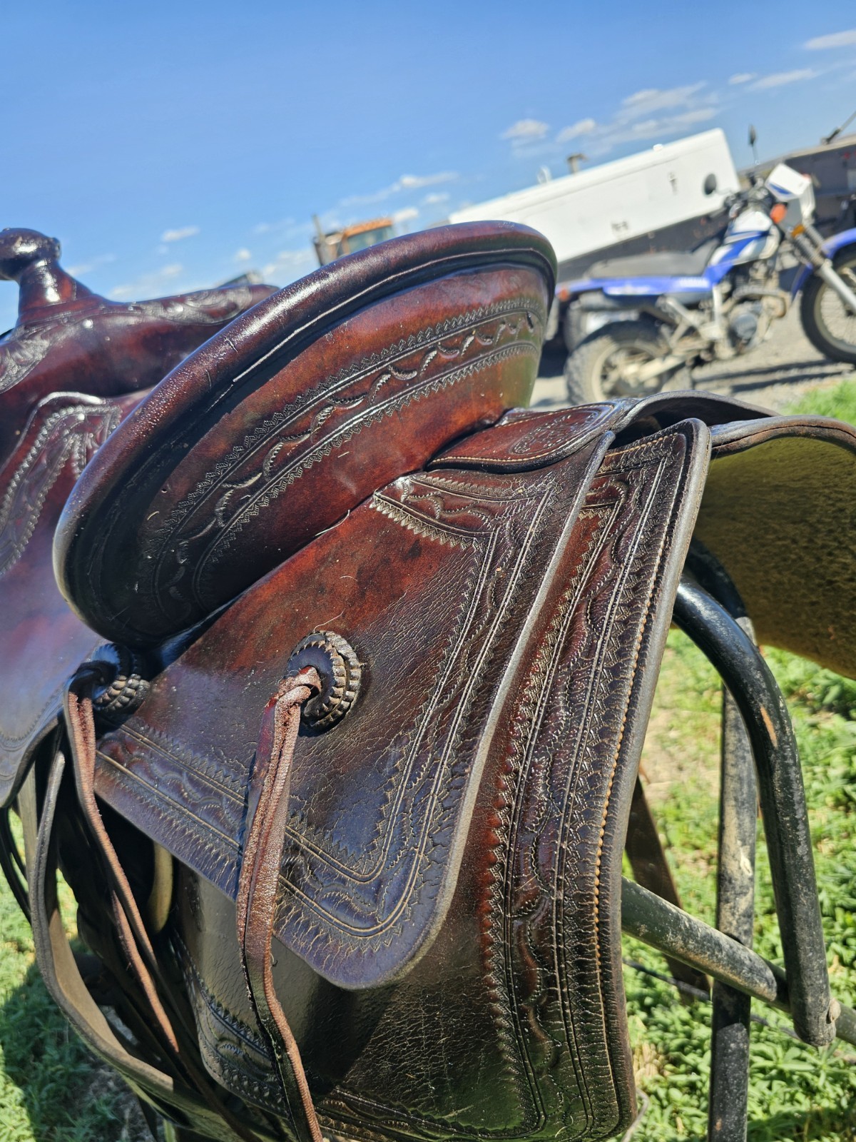 Fred Mueller Saddle