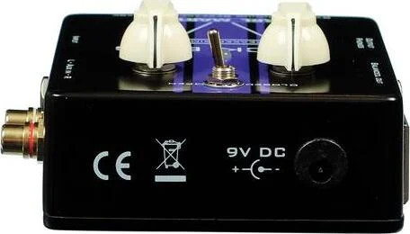 Carl Martin Rock Bug