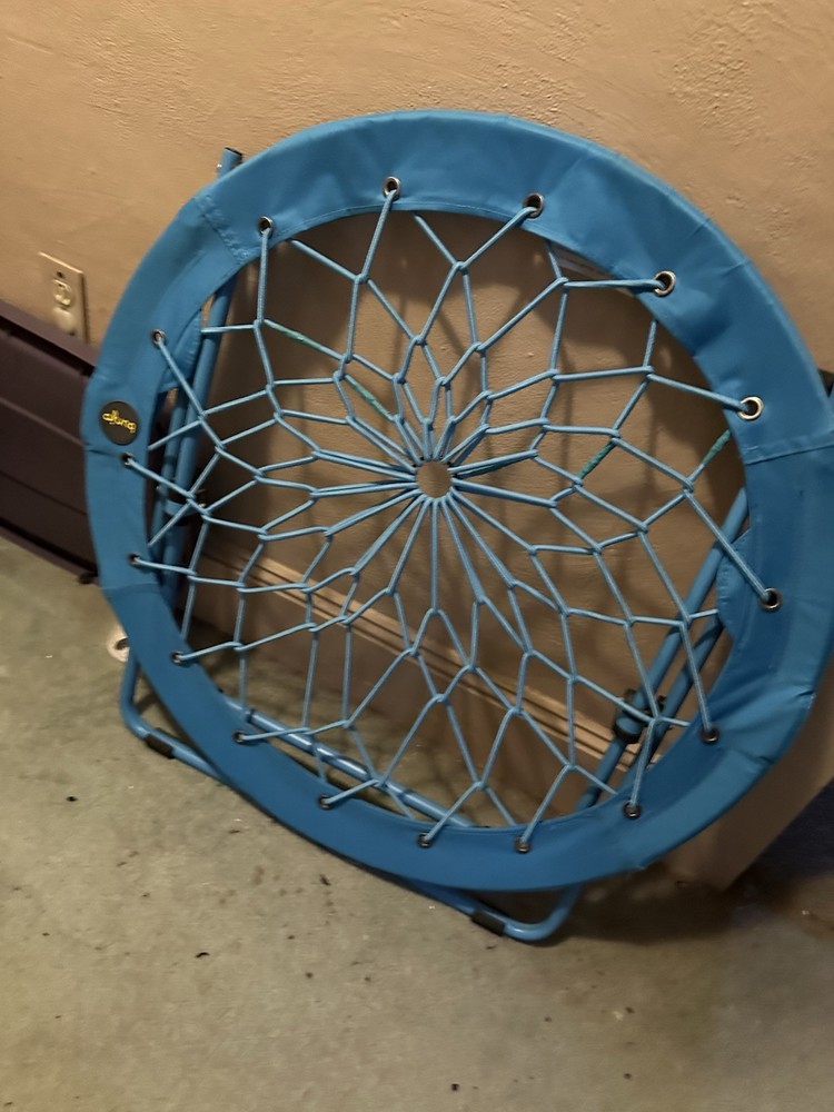 Blue bungee chair￼